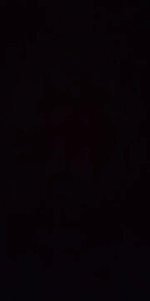 A2b5974d961e74b1da67c7d89035639d5F.jpg